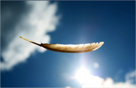 Plume Plume symbole de minceur