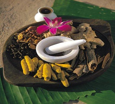 Medecine ayurvedique Divers medecines ayurvediques