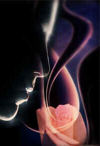 Femme à la rose Olfaction émotions