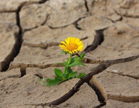 Solitude et desert Ne pas être seul